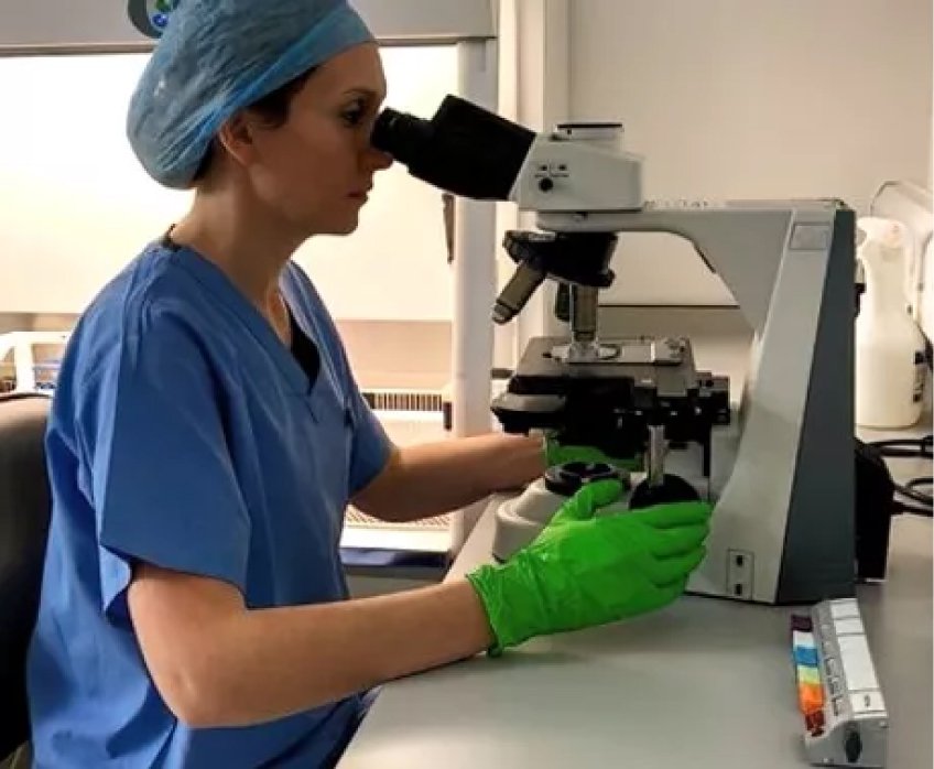 CERTIFICACION DE ESPECIALISTAS